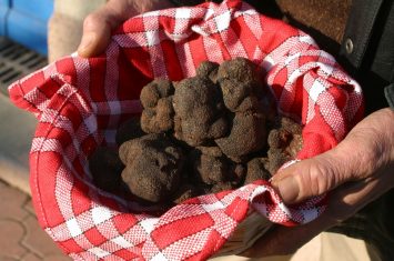 truffes